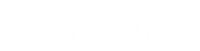 Rivium Logo